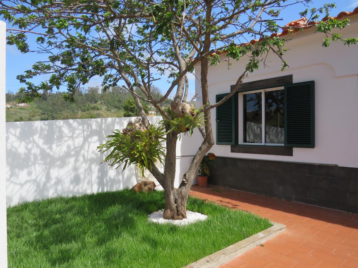 Inmountain Villa Canico  Bagian luar foto